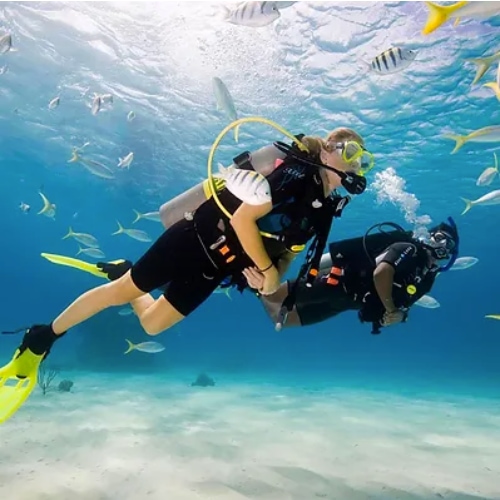 Scuba Diving & Lessons